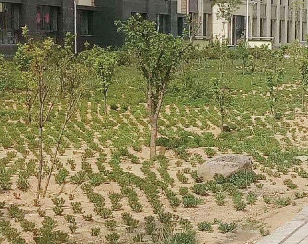 包頭棚戶區(qū)改造,住宅及社區(qū)內(nèi)道路、園林綠化、亮化工程